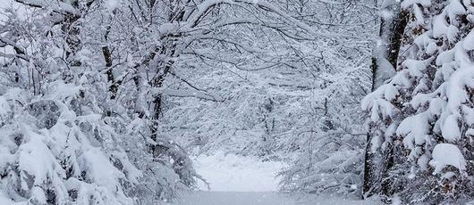 Now's the Time to Review Our Winter Weather Plan!