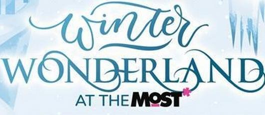 Join Us for a Winter Wonderland Event!