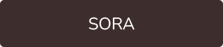 click here for sora