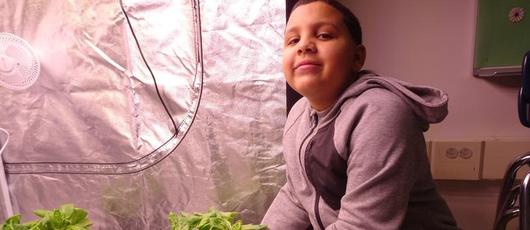 Dr. King Students Learn Hydroponics, Become Garden Ambassadors