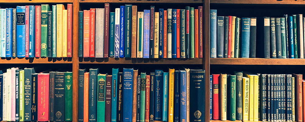 Syracuse Students using the Library
